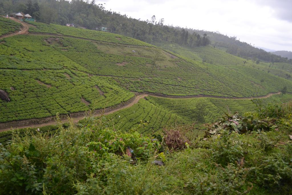 Ferndale Homestay Thekkady Εξωτερικό φωτογραφία