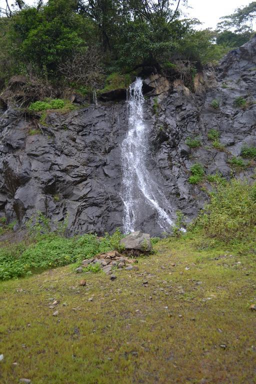 Ferndale Homestay Thekkady Εξωτερικό φωτογραφία