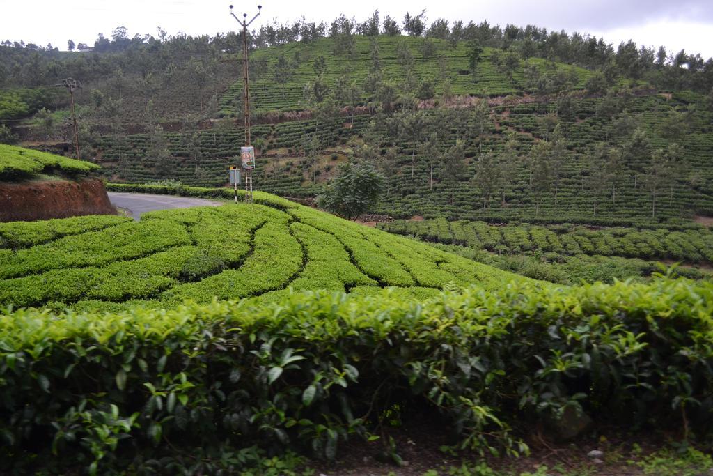 Ferndale Homestay Thekkady Εξωτερικό φωτογραφία