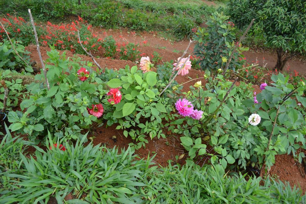 Ferndale Homestay Thekkady Εξωτερικό φωτογραφία