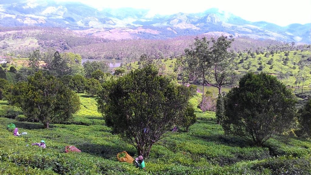 Ferndale Homestay Thekkady Εξωτερικό φωτογραφία