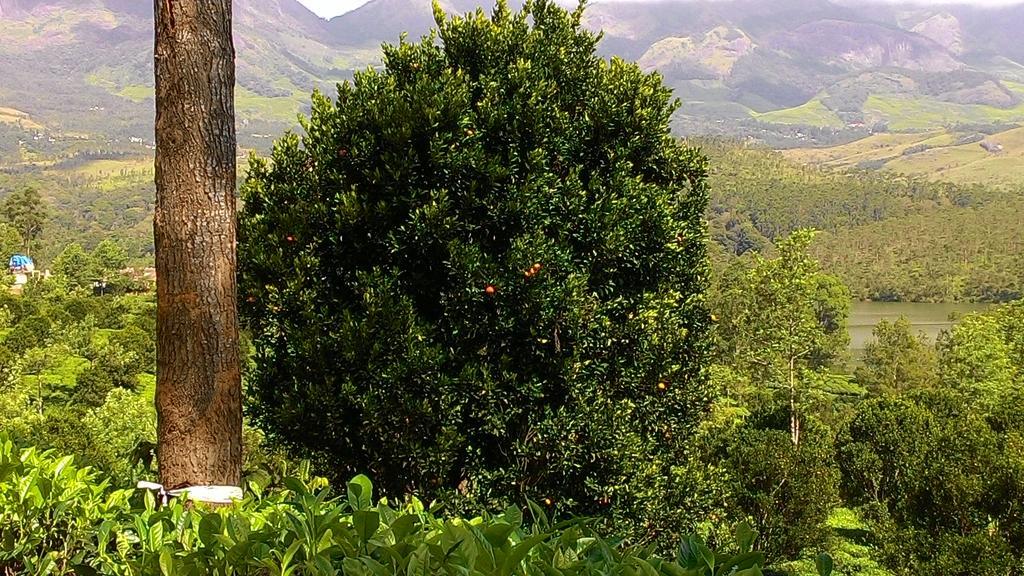 Ferndale Homestay Thekkady Εξωτερικό φωτογραφία
