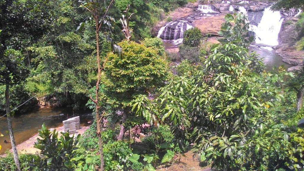 Ferndale Homestay Thekkady Εξωτερικό φωτογραφία