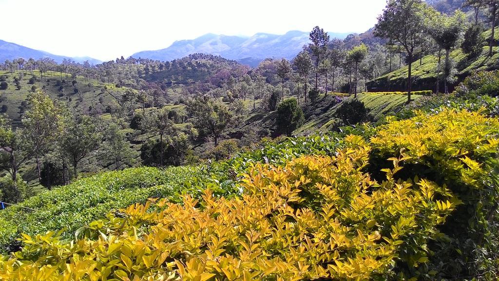 Ferndale Homestay Thekkady Εξωτερικό φωτογραφία