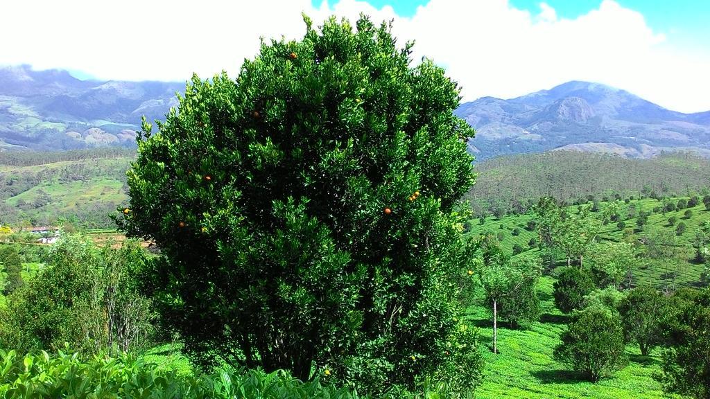 Ferndale Homestay Thekkady Εξωτερικό φωτογραφία